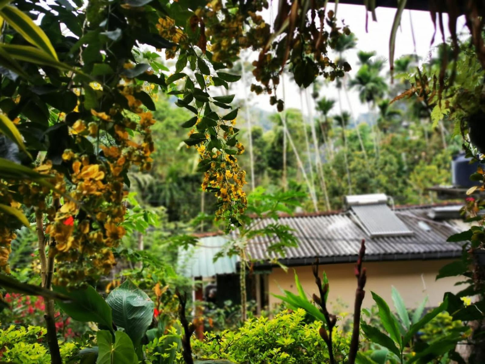 Cozy Homestay Waterfall Road Ella Εξωτερικό φωτογραφία
