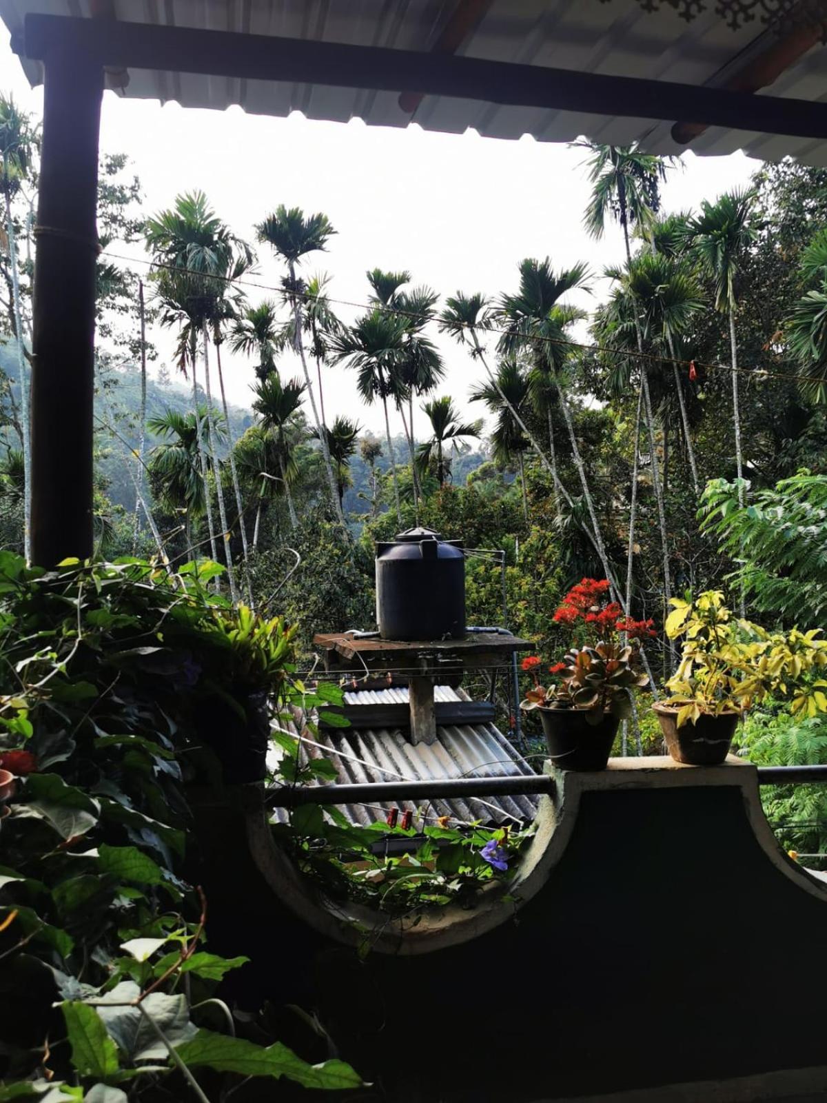 Cozy Homestay Waterfall Road Ella Εξωτερικό φωτογραφία