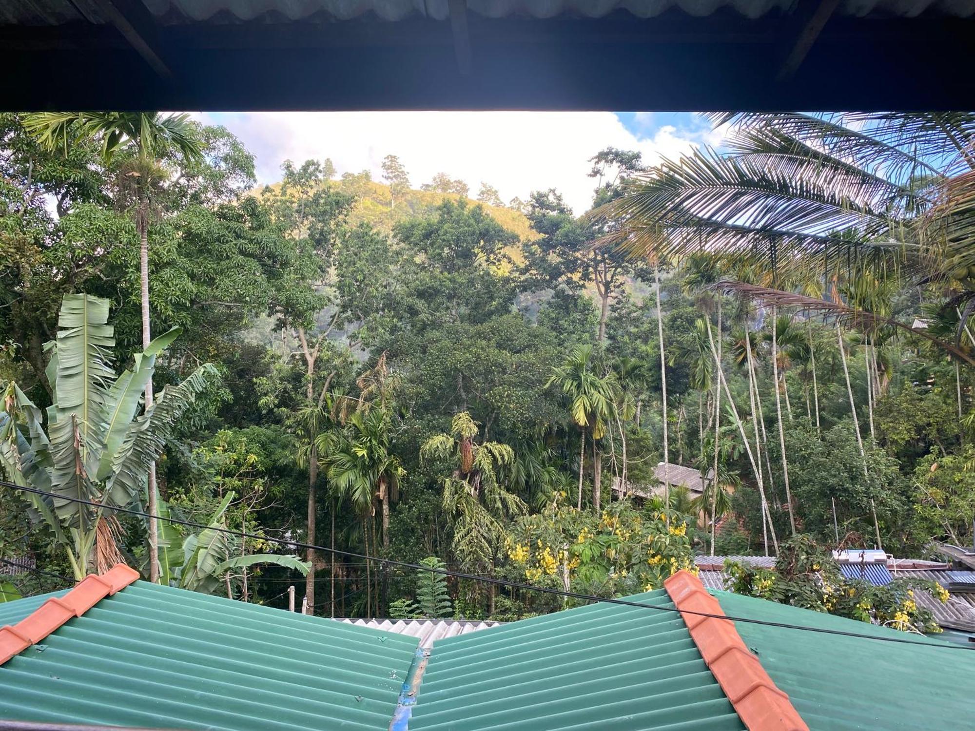 Cozy Homestay Waterfall Road Ella Εξωτερικό φωτογραφία