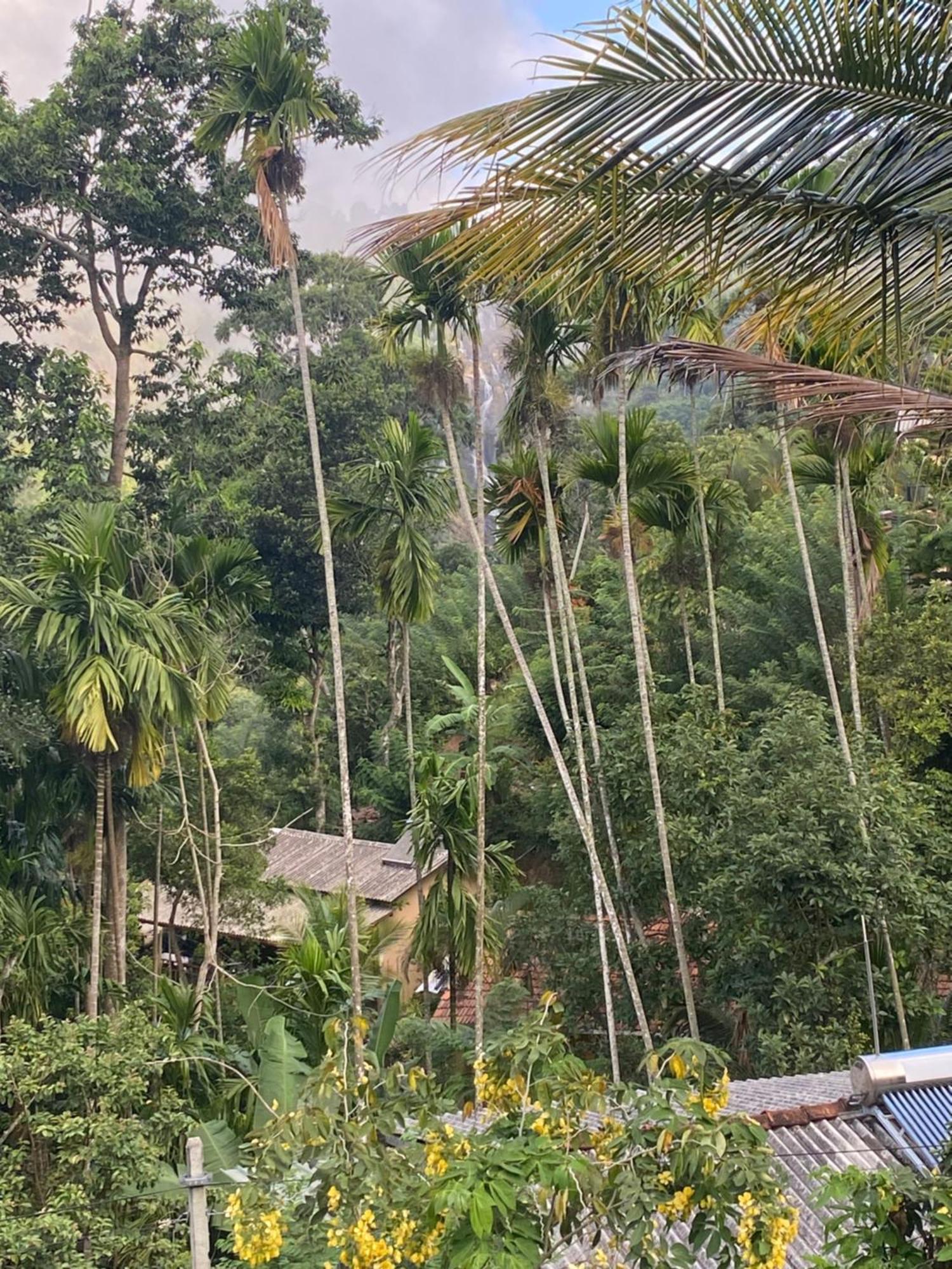Cozy Homestay Waterfall Road Ella Εξωτερικό φωτογραφία