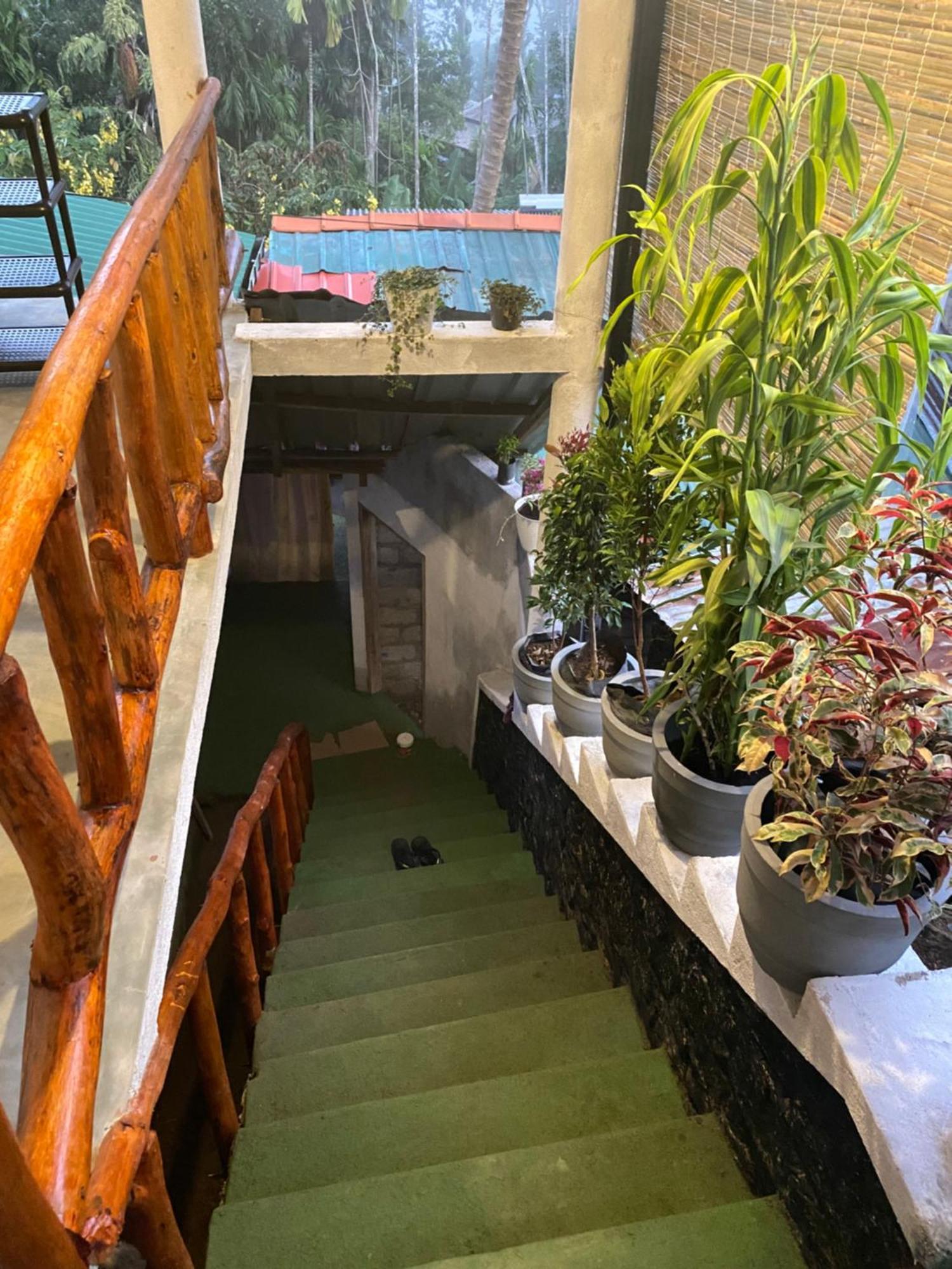 Cozy Homestay Waterfall Road Ella Εξωτερικό φωτογραφία