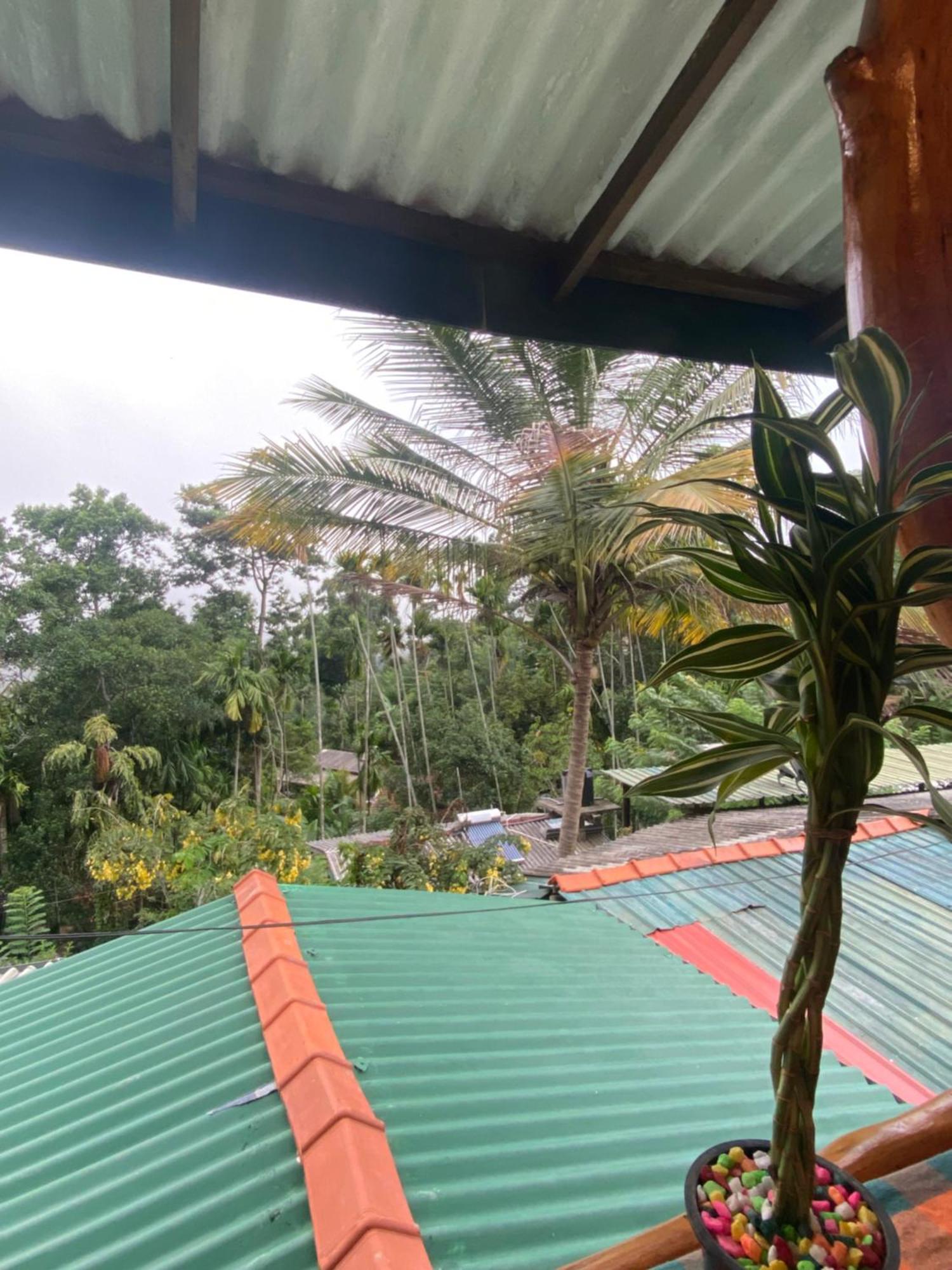 Cozy Homestay Waterfall Road Ella Εξωτερικό φωτογραφία