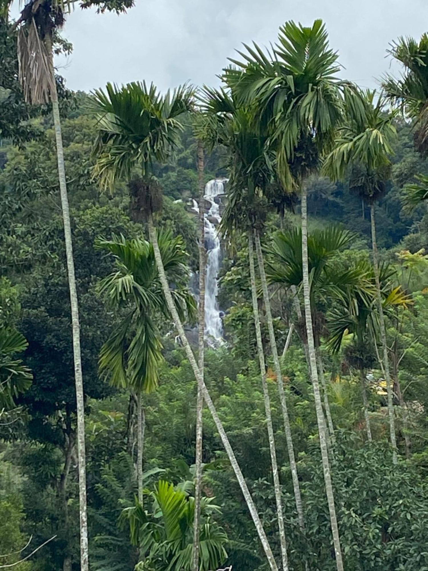 Cozy Homestay Waterfall Road Ella Εξωτερικό φωτογραφία