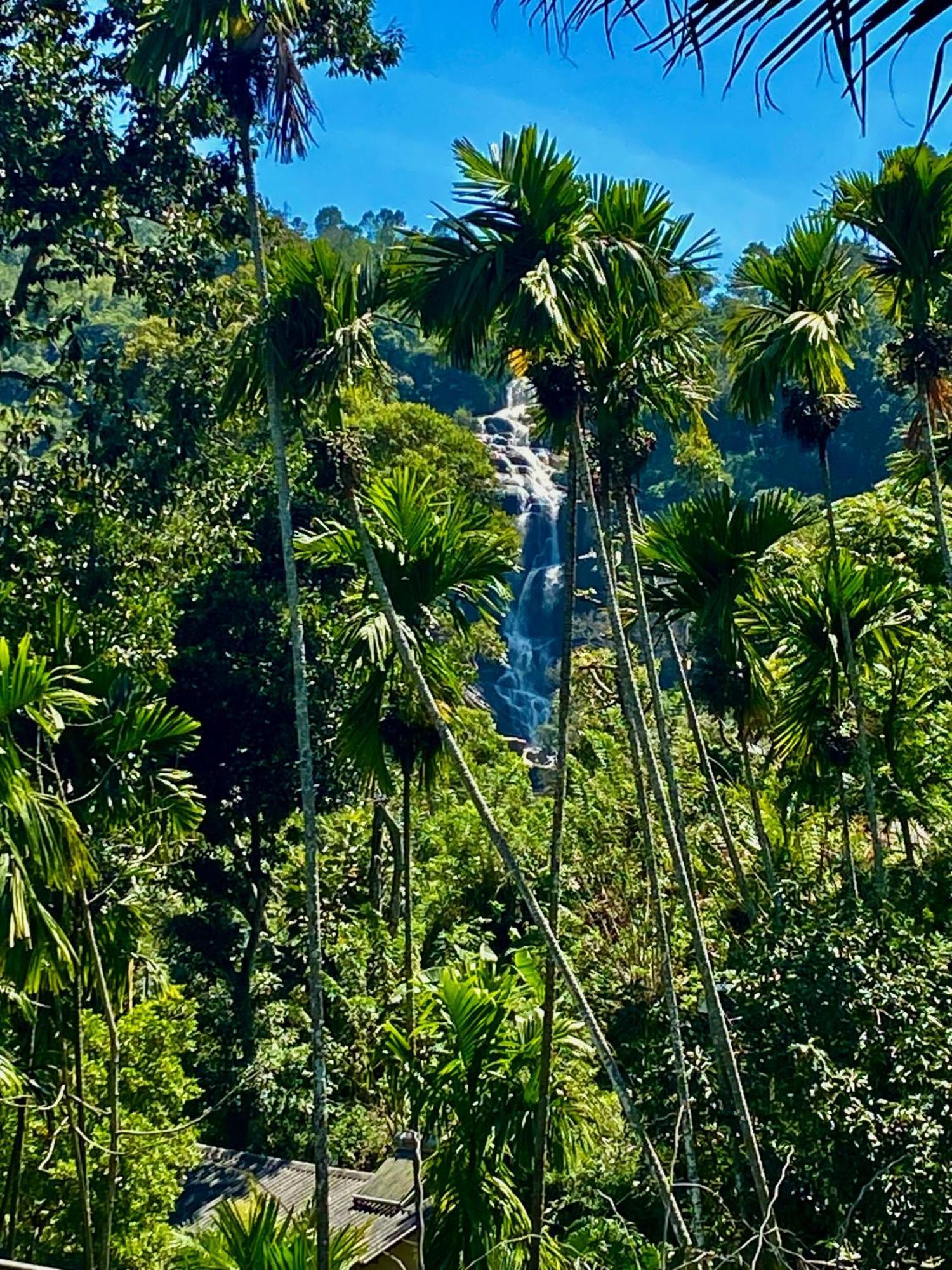 Cozy Homestay Waterfall Road Ella Εξωτερικό φωτογραφία