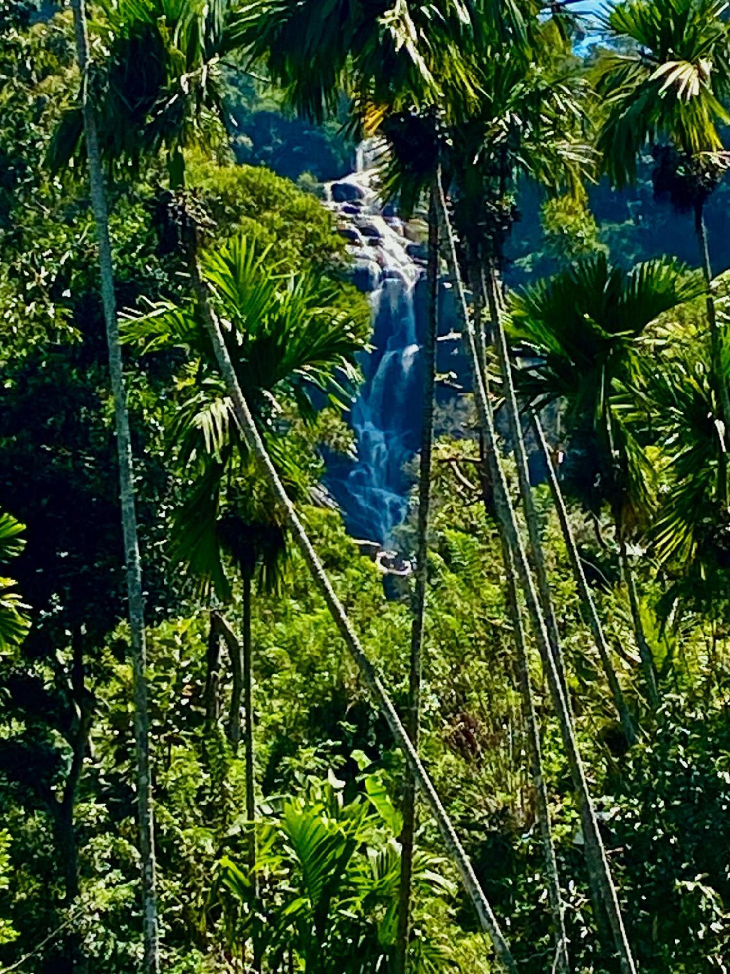 Cozy Homestay Waterfall Road Ella Εξωτερικό φωτογραφία