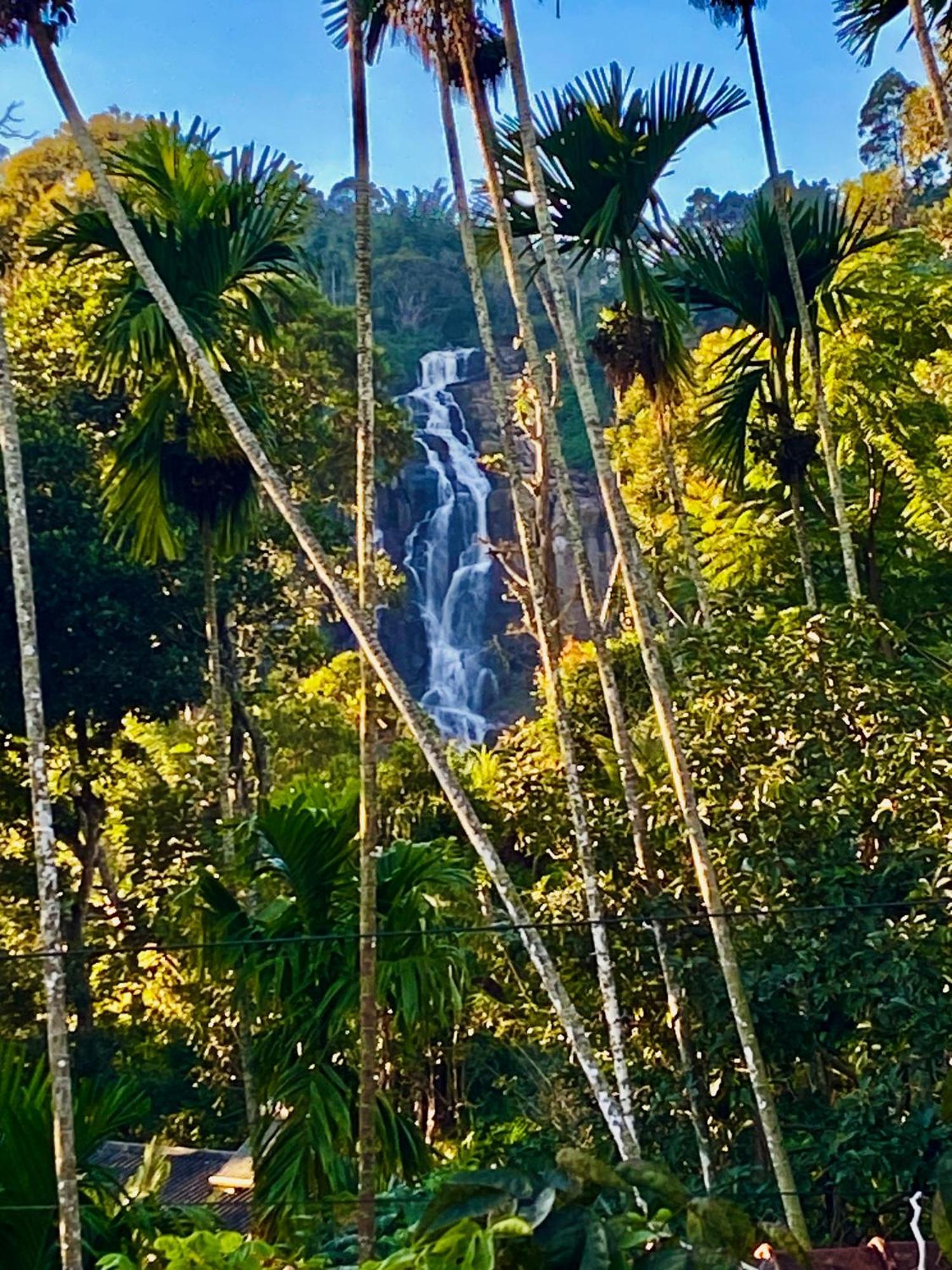 Cozy Homestay Waterfall Road Ella Εξωτερικό φωτογραφία