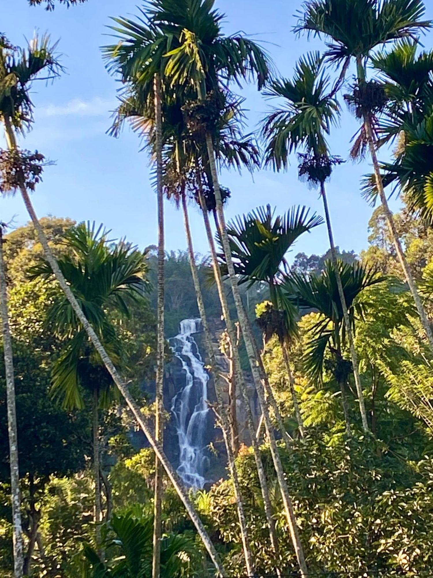 Cozy Homestay Waterfall Road Ella Εξωτερικό φωτογραφία