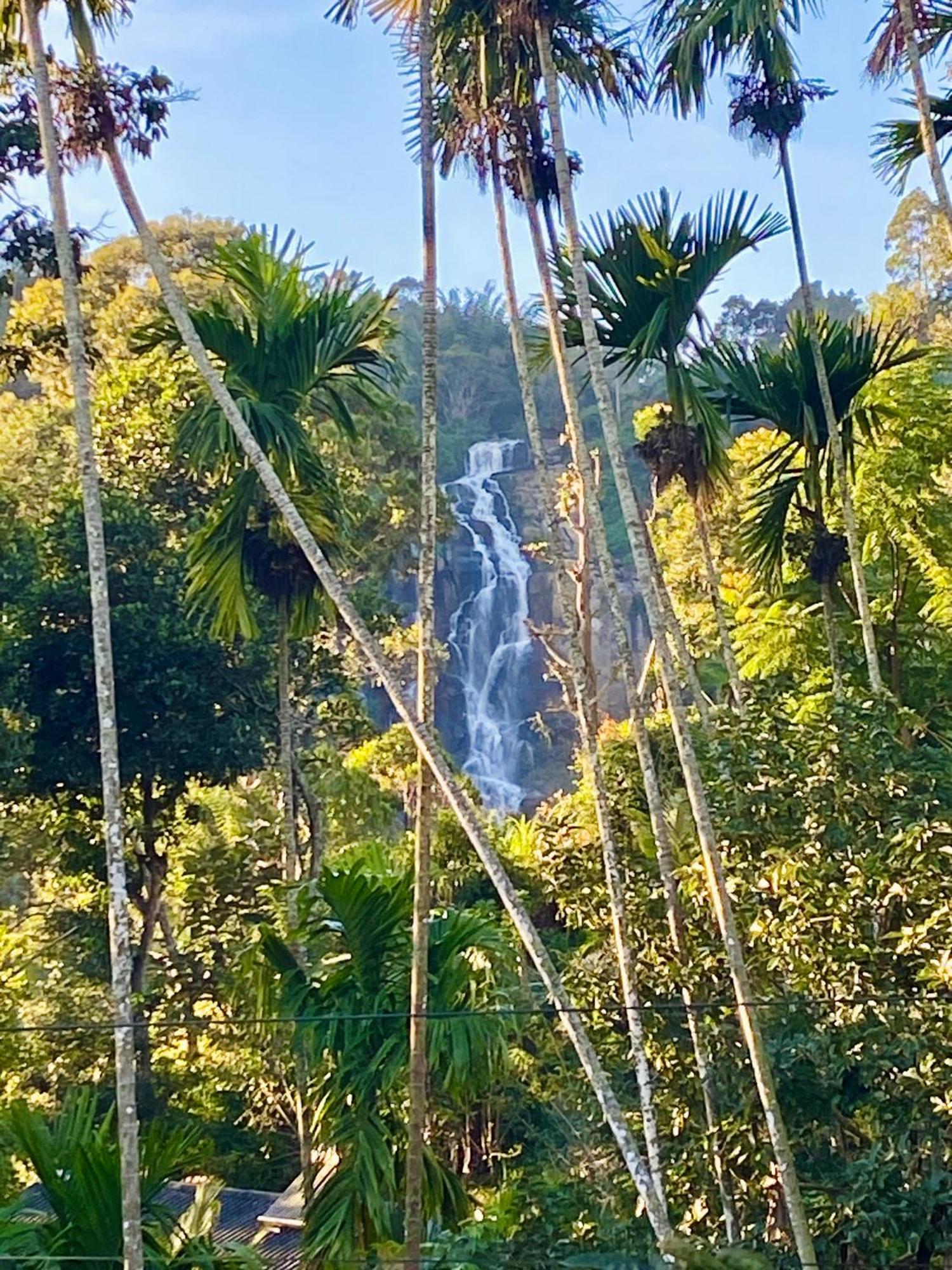 Cozy Homestay Waterfall Road Ella Εξωτερικό φωτογραφία