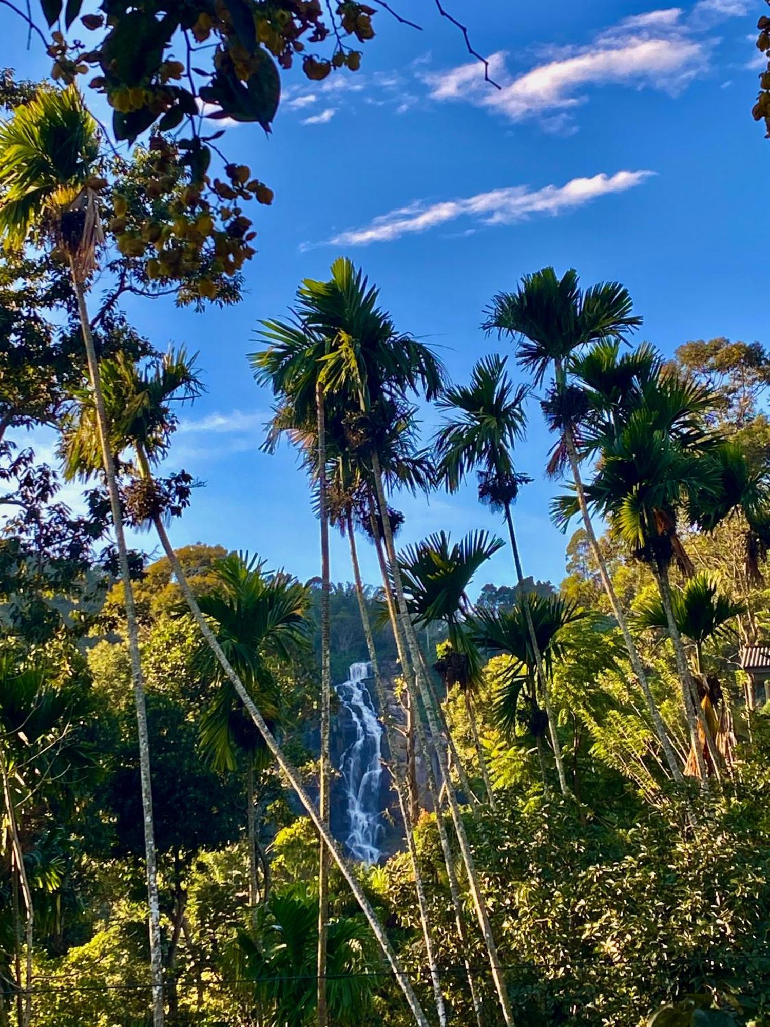 Cozy Homestay Waterfall Road Ella Εξωτερικό φωτογραφία