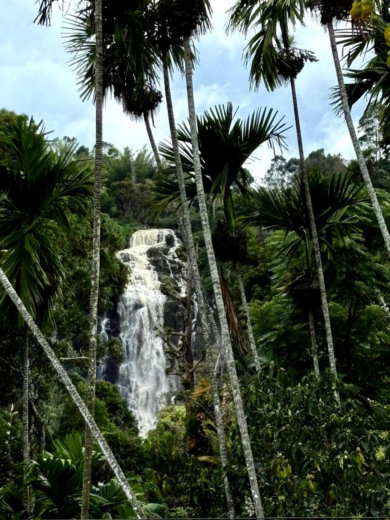 Cozy Homestay Waterfall Road Ella Εξωτερικό φωτογραφία